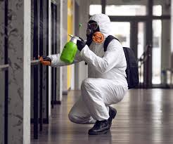 Mold Odor Removal Services in New Port Richey East, FL